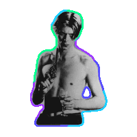 david bowie Sticker