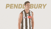 magpies gopies GIF by CollingwoodFC