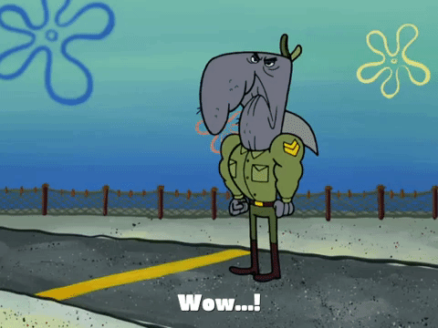 season 4 krusty towers GIF by SpongeBob SquarePants