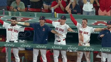 Red Sox Sport GIF by MLB
