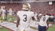 Notre Dame Handshake GIF by Notre Dame Fighting Irish