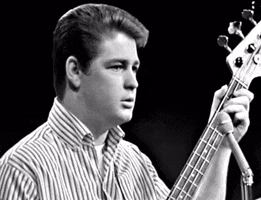 The Beach Boys In My Room GIF