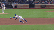 New York Mets Sport GIF by MLB