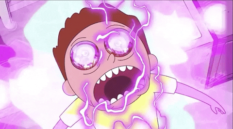 Season 4 Episode 408 GIF by Rick and Morty