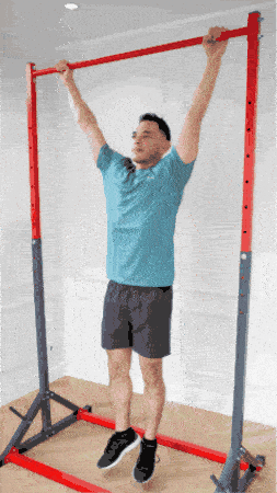 ThisIsCalisthenics calisthenics pull up tic back workout GIF