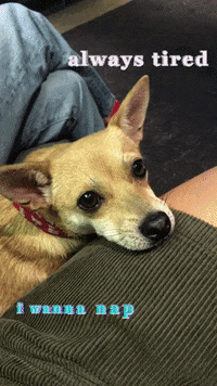 birdy GIF by garbage party