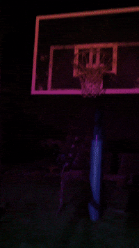Monkey GIF