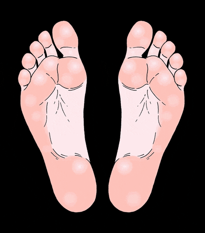 feet GIF