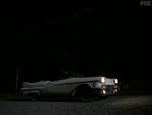 x files GIF by The X-Files