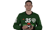 Handball-Bundesliga Handball Sticker by LIQUI MOLY HBL