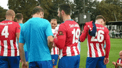 King Win GIF by Dorking Wanderers Football Club