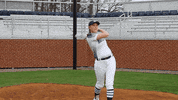 vwu_marlins marlins vwu wethebeach virginiawesleyan GIF