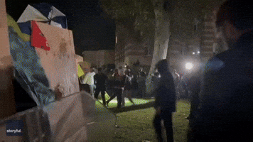 Violent Scenes at UCLA as Pro-Palestinian Encampment Attacked