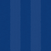 Mal Jakob GIF by Odense Boldklub