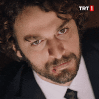 Sert Birkan Sokullu GIF by TRT