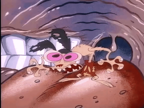 Ren And Stimpy Nicksplat GIF by NickRewind