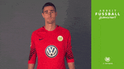 koen casteels head GIF by VfL Wolfsburg