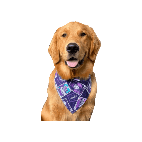 Golden Retriever Halloween Sticker by Geekster Pets