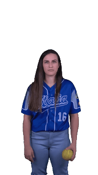 Italia Italiateam Sticker by FIBS - Federazione Italiana Baseball Softball