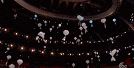 oscars 2017 GIF by The Academy Awards