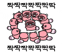 Birthday Cheers GIF by 644