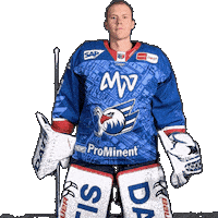 Goalie Sticker by Adler Mannheim