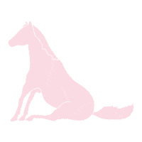 Pony Sticker by Equishapes