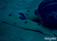 happy efecto pasillo GIF