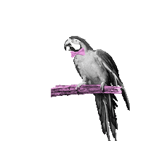 plastelina food coffee instagram beer Sticker