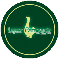 lajespatagoniaind patagonia lajespatagonia Sticker
