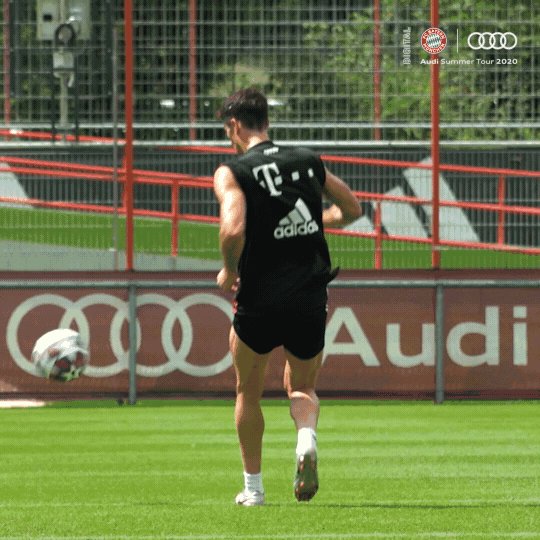 Robert Lewandowski Work GIF by FC Bayern Munich