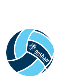 sport ball Sticker by Netball NSW