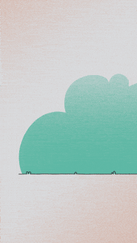 Cat GIF