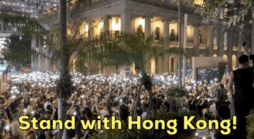 hong kong protests stand with hong kong des veoux road central GIF
