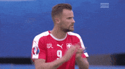 euro 2016 football GIF by Sporza