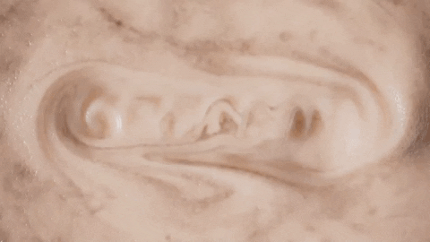 five31 giphyupload GIF