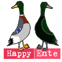 Enten Sticker