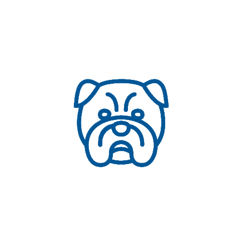 Des Moines Dog Sticker by Drake University