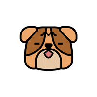 yalemusic dan yale ysm GIF