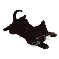 Cat Pet Sticker