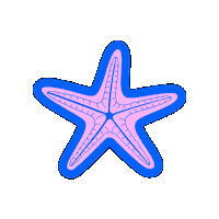 Beach Star Sticker by MotiveMarket