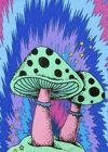 Shrooms GIF