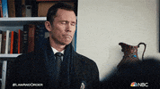 Season 21 Episode 6 GIF by Law & Order