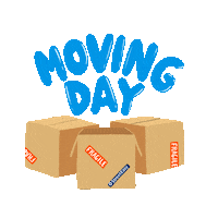 cat moving Sticker by StreetEasy