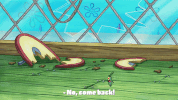 season 9 the fish bowl GIF by SpongeBob SquarePants