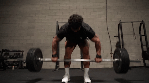 Back Day Fitness GIF by GYMREAPERS