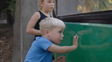 Kids Family GIF by Oakland Zoo