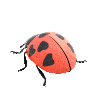 Lady Bug Corazon Sticker by RCA Records