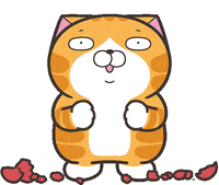Cat Fun GIF by MochiDad