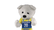 Volleyball Celebrate Sticker by Draisma Dynamo
